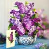 Freshcut Paper Pop Up Cards, Garden Lilacs, 12 Inch Life Sized Forever Flower Bouquet 3D Popup Greeting Card, Birthday Cards, Thank You Card, Blank Notecard & Envelope(Garden Lilacs)