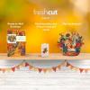 Freshcut Paper Pop Up Cards, Sunflowers, 12 Inch Life Sized Forever Flower Bouquet 3D Popup Greeting Card, Birthday Cards, Get Well Gifts, Blank Notecard & Envelope(Golden Harvest)