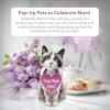 Freshcut Paper Pop Up Pet Cards, Black Cat, Gifts for Cat Lovers, Gifts for Mom with Mother’s Day Accessory Sheet, Notecard & Envelope, 3D Popup Greeting Card, Mother’s Day Cards(Ragdoll Cat)
