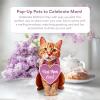 Freshcut Paper Pop Up Pet Cards, Black Cat, Gifts for Cat Lovers, Gifts for Mom with Mother’s Day Accessory Sheet, Notecard & Envelope, 3D Popup Greeting Card, Mother’s Day Cards(Orange Tabby)