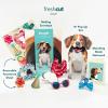 Freshcut Paper Pop Up Pet Cards, Gifts for Dog Lovers, Birthday Cards with Accessory Sheet, Note Card & Envelope, 3D Popup Greeting Card, Pit Bull(Beagle)