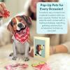 Freshcut Paper Pop Up Pet Cards, Gifts for Dog Lovers, Birthday Cards with Accessory Sheet, Note Card & Envelope, 3D Popup Greeting Card, Pit Bull(Beagle)