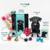 Freshcut Paper Pop Up Pet Cards, Gifts for Dog Lovers, Birthday Cards with Accessory Sheet, Note Card & Envelope, 3D Popup Greeting Card, Pit Bull(Black Lab)