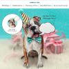 Freshcut Paper Pop Up Pet Cards, Gifts for Dog Lovers, Birthday Cards with Accessory Sheet, Note Card & Envelope, 3D Popup Greeting Card, Pit Bull(Bulldog)