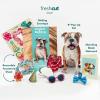 Freshcut Paper Pop Up Pet Cards, Gifts for Dog Lovers, Birthday Cards with Accessory Sheet, Note Card & Envelope, 3D Popup Greeting Card, Pit Bull(Bulldog)