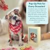 Freshcut Paper Pop Up Pet Cards, Gifts for Dog Lovers, Birthday Cards with Accessory Sheet, Note Card & Envelope, 3D Popup Greeting Card, Pit Bull(Bulldog)