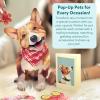 Freshcut Paper Pop Up Pet Cards, Gifts for Dog Lovers, Birthday Cards with Accessory Sheet, Note Card & Envelope, 3D Popup Greeting Card, Pit Bull(Corgi)