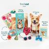Freshcut Paper Pop Up Pet Cards, Gifts for Dog Lovers, Birthday Cards with Accessory Sheet, Note Card & Envelope, 3D Popup Greeting Card, Pit Bull(Corgi)