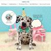 Freshcut Paper Pop Up Pet Cards, Gifts for Dog Lovers, Birthday Cards with Accessory Sheet, Note Card & Envelope, 3D Popup Greeting Card, Pit Bull(Dalmatian)
