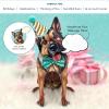 Freshcut Paper Pop Up Pet Cards, Gifts for Dog Lovers, Birthday Cards with Accessory Sheet, Note Card & Envelope, 3D Popup Greeting Card, Pit Bull(German Shepherd)