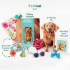 Freshcut Paper Pop Up Pet Cards, Gifts for Dog Lovers, Birthday Cards with Accessory Sheet, Note Card & Envelope, 3D Popup Greeting Card, Pit Bull(Golden Retriever)