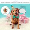 Freshcut Paper Pop Up Pet Cards, Gifts for Dog Lovers, Birthday Cards with Accessory Sheet, Note Card & Envelope, 3D Popup Greeting Card, Pit Bull(Golden Retriever)