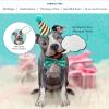 Freshcut Paper Pop Up Pet Cards, Gifts for Dog Lovers, Birthday Cards with Accessory Sheet, Note Card & Envelope, 3D Popup Greeting Card, Pit Bull(Pit bull)