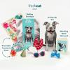 Freshcut Paper Pop Up Pet Cards, Gifts for Dog Lovers, Birthday Cards with Accessory Sheet, Note Card & Envelope, 3D Popup Greeting Card, Pit Bull(Pit bull)