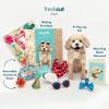 Freshcut Paper Pop Up Pet Cards, Gifts for Dog Lovers, Birthday Cards with Accessory Sheet, Note Card & Envelope, 3D Popup Greeting Card, Pit Bull(Poodle)