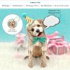Freshcut Paper Pop Up Pet Cards, Gifts for Dog Lovers, Birthday Cards with Accessory Sheet, Note Card & Envelope, 3D Popup Greeting Card, Pit Bull(Poodle)