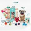 Freshcut Paper Pop Up Pet Cards, Gifts for Dog Lovers, Birthday Cards with Accessory Sheet, Note Card & Envelope, 3D Popup Greeting Card, Pit Bull(Pug)