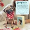 Freshcut Paper Pop Up Pet Cards, Gifts for Dog Lovers, Birthday Cards with Accessory Sheet, Note Card & Envelope, 3D Popup Greeting Card, Pit Bull(Pug)