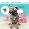 Freshcut Paper Pop Up Pet Cards, Gifts for Dog Lovers, Birthday Cards with Accessory Sheet, Note Card & Envelope, 3D Popup Greeting Card, Pit Bull(Pug)