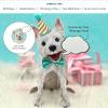 Freshcut Paper Pop Up Pet Cards, Gifts for Dog Lovers, Birthday Cards with Accessory Sheet, Note Card & Envelope, 3D Popup Greeting Card, Pit Bull(Westie)
