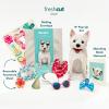 Freshcut Paper Pop Up Pet Cards, Gifts for Dog Lovers, Birthday Cards with Accessory Sheet, Note Card & Envelope, 3D Popup Greeting Card, Pit Bull(Westie)