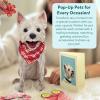 Freshcut Paper Pop Up Pet Cards, Gifts for Dog Lovers, Birthday Cards with Accessory Sheet, Note Card & Envelope, 3D Popup Greeting Card, Pit Bull(Westie)