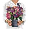 Freshcut Paper Pop Up Cards, Garden Lilacs, 12 Inch Life Sized Forever Flower Bouquet 3D Popup Greeting Card, Birthday Cards, Thank You Card, Blank Notecard & Envelope(Moonlight Garden)