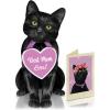 Freshcut Paper Pop Up Pet Cards, Black Cat, Gifts for Cat Lovers, Gifts for Mom with Mother’s Day Accessory Sheet, Notecard & Envelope, 3D Popup Greeting Card, Mother’s Day Cards(Black Cat)