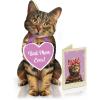 Freshcut Paper Pop Up Pet Cards, Black Cat, Gifts for Cat Lovers, Gifts for Mom with Mother’s Day Accessory Sheet, Notecard & Envelope, 3D Popup Greeting Card, Mother’s Day Cards(Brown Tabby)