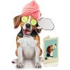 Freshcut Paper Pop Up Pet Cards, Gifts for Dog Lovers, Birthday Cards with Accessory Sheet, Note Card & Envelope, 3D Popup Greeting Card, Pit Bull(Beagle)