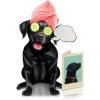 Freshcut Paper Pop Up Pet Cards, Gifts for Dog Lovers, Birthday Cards with Accessory Sheet, Note Card & Envelope, 3D Popup Greeting Card, Pit Bull(Black Lab)