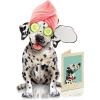 Freshcut Paper Pop Up Pet Cards, Gifts for Dog Lovers, Birthday Cards with Accessory Sheet, Note Card & Envelope, 3D Popup Greeting Card, Pit Bull(Dalmatian)