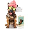 Freshcut Paper Pop Up Pet Cards, Gifts for Dog Lovers, Birthday Cards with Accessory Sheet, Note Card & Envelope, 3D Popup Greeting Card, Pit Bull(German Shepherd)