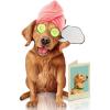 Freshcut Paper Pop Up Pet Cards, Gifts for Dog Lovers, Birthday Cards with Accessory Sheet, Note Card & Envelope, 3D Popup Greeting Card, Pit Bull(Golden Retriever)