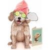 Freshcut Paper Pop Up Pet Cards, Gifts for Dog Lovers, Birthday Cards with Accessory Sheet, Note Card & Envelope, 3D Popup Greeting Card, Pit Bull(Poodle)