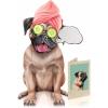 Freshcut Paper Pop Up Pet Cards, Gifts for Dog Lovers, Birthday Cards with Accessory Sheet, Note Card & Envelope, 3D Popup Greeting Card, Pit Bull(Pug)