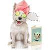 Freshcut Paper Pop Up Pet Cards, Gifts for Dog Lovers, Birthday Cards with Accessory Sheet, Note Card & Envelope, 3D Popup Greeting Card, Pit Bull(Westie)