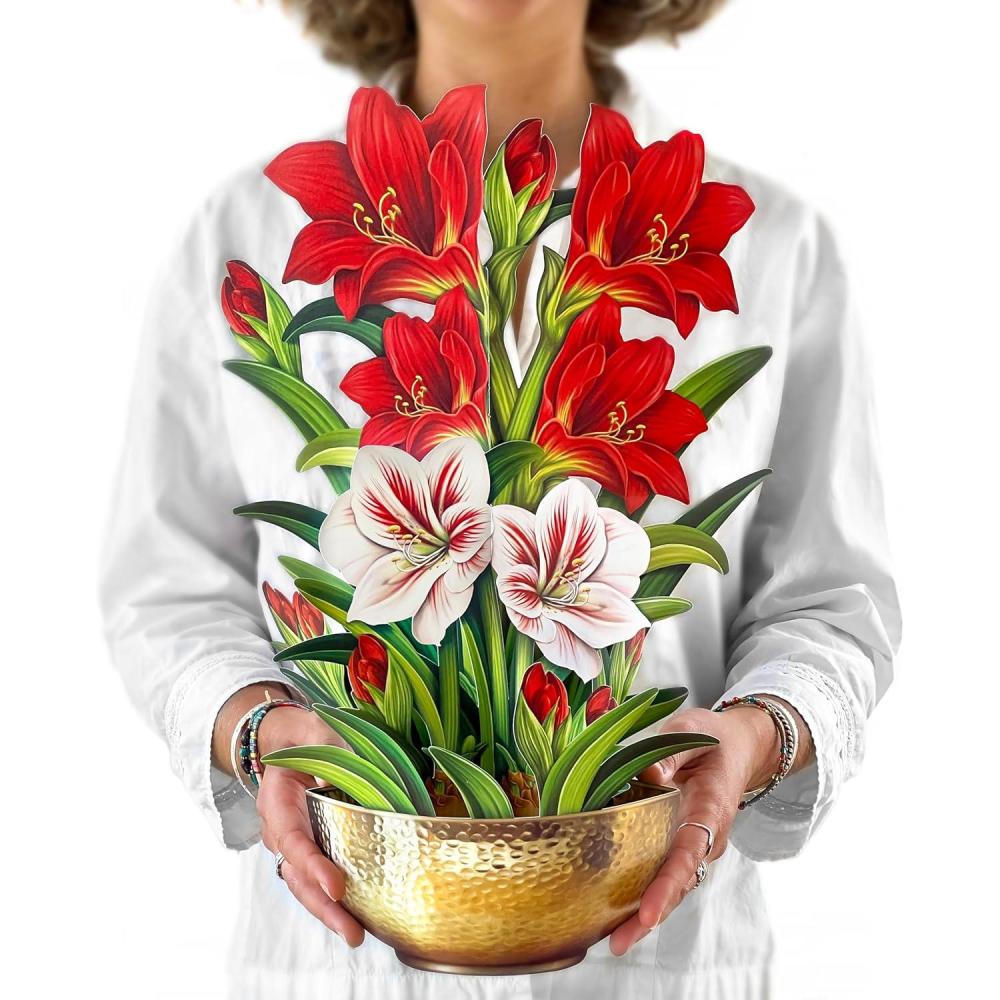 imageFreshcut Paper Pop Up Cards Blue Poinsettia 10 Inch Life Sized Forever Flower Bouquet 3D Popup Greeting Cards Christmas Card Hanukkah Card Blank Notecard ampamp EnvelopeScarlet Amaryllis
