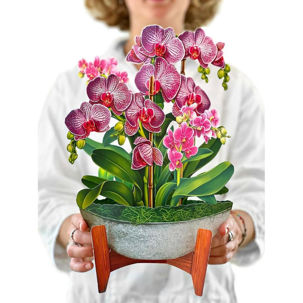 imageFreshcut Paper Pop Up Cards Orchid Oasis 12 Inch Life Sized Forever Flower Bouquet 3D Popup Greeting Card Birthday Cards Get Well Gifts Blank Notecard ampamp EnvelopeOrchid Oasis