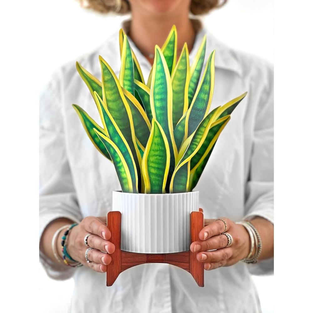 imageFreshcut Paper Pop Up Cards Prayer Plant 12 Inch Life Sized Paper House Plants 3D Popup Greeting Cards Birthday Card Get Well Gifts Blank Notecard ampamp EnvelopeSnake Plant