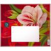 Freshcut Paper Pop Up Cards, Blue Poinsettia, 10 Inch Life Sized Forever Flower Bouquet 3D Popup Greeting Cards, Christmas Card, Hanukkah Card, Blank Notecard & Envelope(Scarlet Amaryllis)