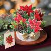 Freshcut Paper Pop Up Cards, Blue Poinsettia, 10 Inch Life Sized Forever Flower Bouquet 3D Popup Greeting Cards, Christmas Card, Hanukkah Card, Blank Notecard & Envelope(Birch Poinsettia)