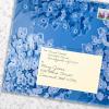 Freshcut Paper Pop Up Cards, Butterflies & Buttercups, 12 Inch Life Sized Forever Flower Bouquet 3D Popup Greeting Card, Birthday Cards, Thank You Card, Blank Notecard & Envelope(Nantucket Hydrangeas)