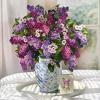 Freshcut Paper Pop Up Cards, Grande Peony Paradise, 18 Inch Life Sized Forever Flower Bouquet 3D Popup Greeting Card, Birthday Cards, Thank You Card, Blank Notecard & Envelope(Grande Garden Lilacs)