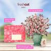 Freshcut Paper Pop Up Cards, Grande Peony Paradise, 18 Inch Life Sized Forever Flower Bouquet 3D Popup Greeting Card, Birthday Cards, Thank You Card, Blank Notecard & Envelope(Grande Japanese Cherry Blossoms)