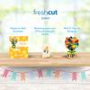 Freshcut Paper Pop Up Cards, Mini Birthday Puppy & Kitten, 6 Inch Mini Sized 3D Pet Gifts, Popup Greeting Card, Birthday Card, Paper Cat & Dog Cards, Blank Notecard & Envelope(Mini Birthday Balloons)