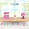 Freshcut Paper Pop Up Cards, Mini Birthday Puppy & Kitten, 6 Inch Mini Sized 3D Pet Gifts, Popup Greeting Card, Birthday Card, Paper Cat & Dog Cards, Blank Notecard & Envelope(Mini Pink Birthday Balloons)