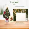 Freshcut Paper Pop Up Cards, Mini Christmas Puppy & Kitten, 6 Inch Mini Sized 3D Pet Gifts, Popup Greeting Card, Christmas Card, Paper Cat & Dog Cards, Blank Notecard & Envelope(Mini Merry Tree)