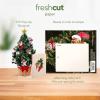 Freshcut Paper Pop Up Cards, Mini Christmas Puppy & Kitten, 6 Inch Mini Sized 3D Pet Gifts, Popup Greeting Card, Christmas Card, Paper Cat & Dog Cards, Blank Notecard & Envelope(Mini Meowy Christmas)