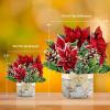 Freshcut Paper Pop Up Cards, Mini Christmas Puppy & Kitten, 6 Inch Mini Sized 3D Pet Gifts, Popup Greeting Card, Christmas Card, Paper Cat & Dog Cards, Blank Notecard & Envelope(Mini Birch Poinsettia)